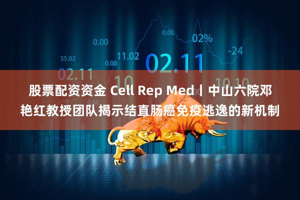 股票配资资金 Cell Rep Med丨中山六院邓艳红教授团队揭示结直肠癌免疫逃逸的新机制