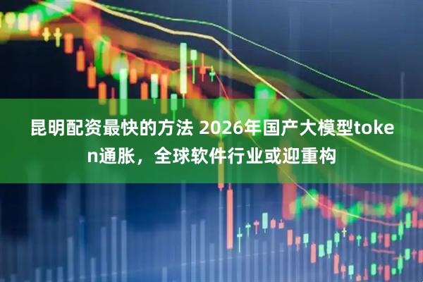 昆明配资最快的方法 2026年国产大模型token通胀，全球软件行业或迎重构