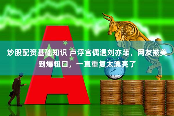 炒股配资基础知识 卢浮宫偶遇刘亦菲,网友被美到爆粗口,一直重复太漂亮了